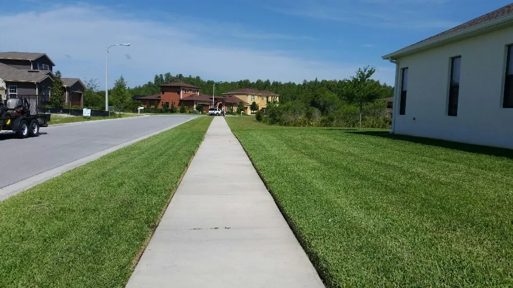 Custom outdoor landscaping for residential properties in Wesley Chapel, FL by Dale Complete Landscaping