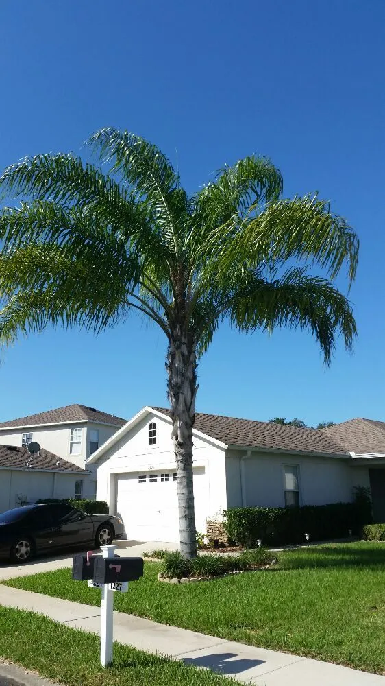 Reliable outdoor landscaping for outdoor upgrades across Wesley Chapel, FL - Dale Complete Landscaping