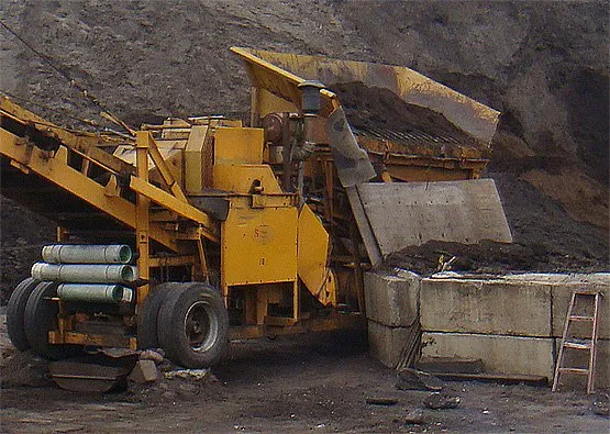 Local yard cleanup service in Burnsville, MN by Dale Green Company