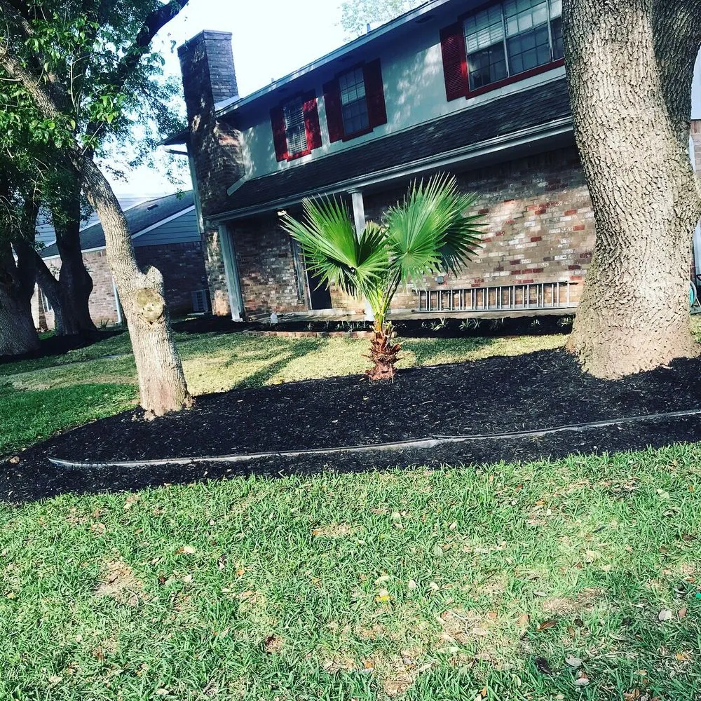 Professional yard cleanup service experts serving Sugar Land, TX - Dale Hawley & Associates