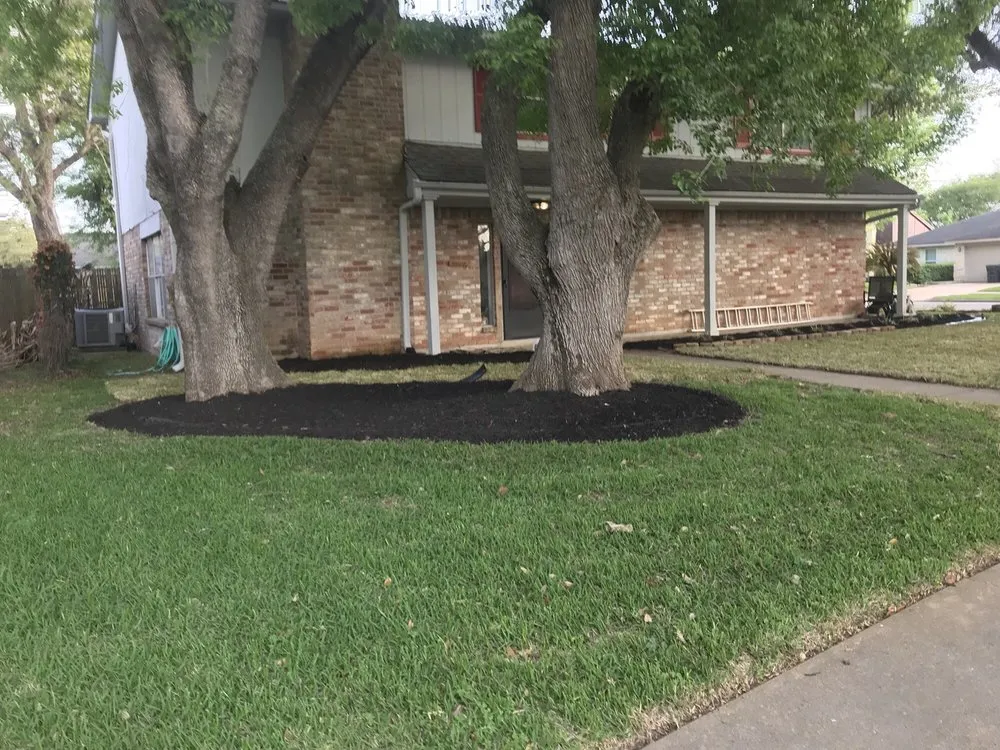Trusted yard cleanup service with custom design across Sugar Land, TX - Dale Hawley & Associates