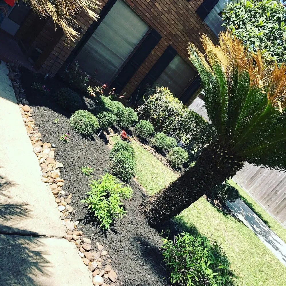 Expert outdoor landscaping near you across Sugar Land, TX - Dale Hawley & Associates