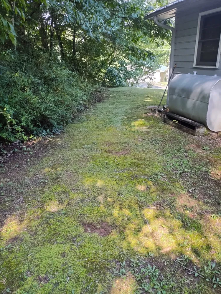 Local lawn care service experts serving Franklin, NC - Dales Landscaping