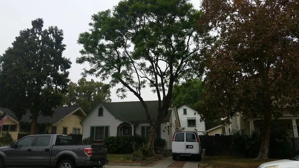 Affordable landscaping services in Upland, CA - Dales Tree Service