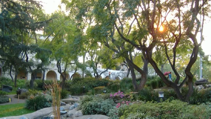 Top-rated landscape installation in Upland, CA - Dales Tree Service