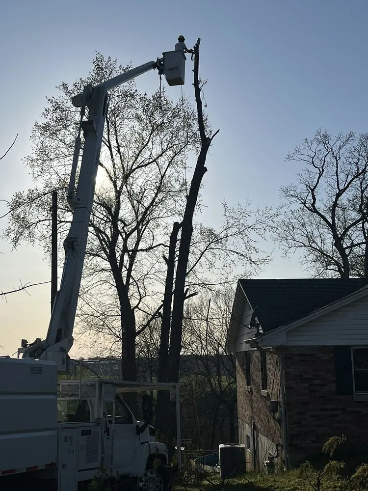 Reliable yard cleanup service in Hannibal, MO by Dale's Trees & Landscaping