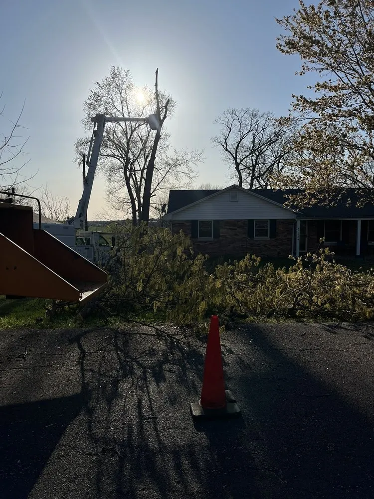 Professional yard cleanup service experts serving Hannibal, MO - Dale's Trees & Landscaping