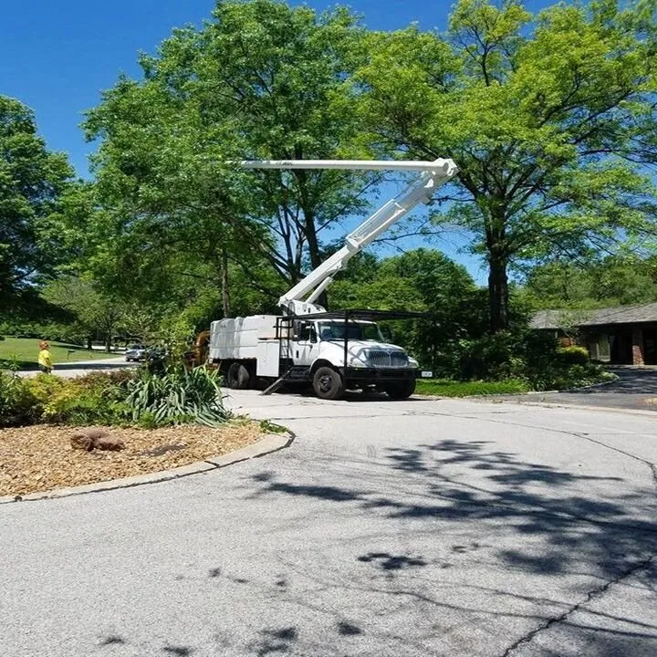 Local yard cleanup service for homes in Hannibal, MO by Dale's Trees & Landscaping