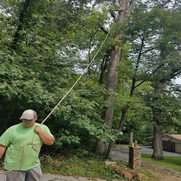Custom lawn care service in Hannibal, MO - Dale's Trees & Landscaping