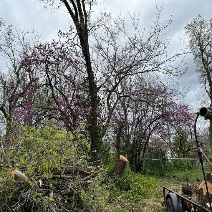 Local landscape installation in Hannibal, MO - Dale's Trees & Landscaping