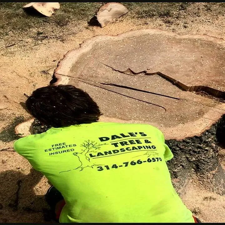 Affordable garden landscaping experts serving Hannibal, MO - Dale's Trees & Landscaping