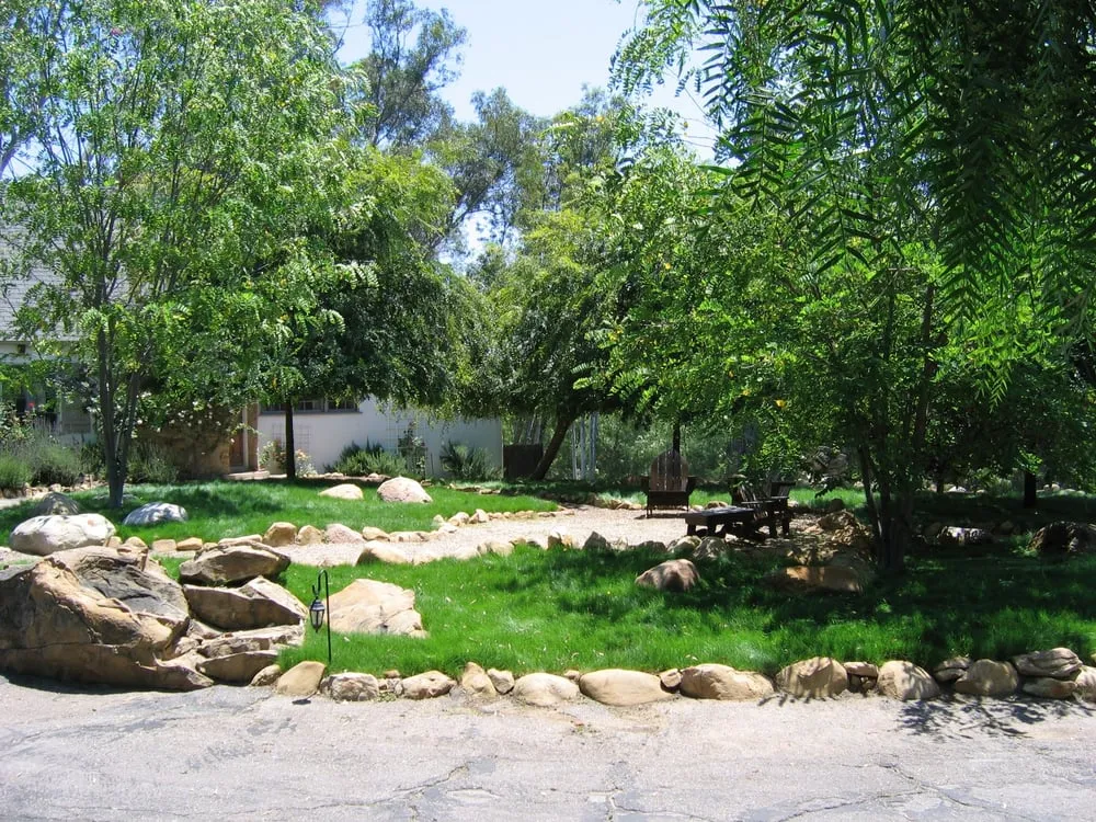 Expert lawn mowing service in Ojai, CA - Daley Landscape