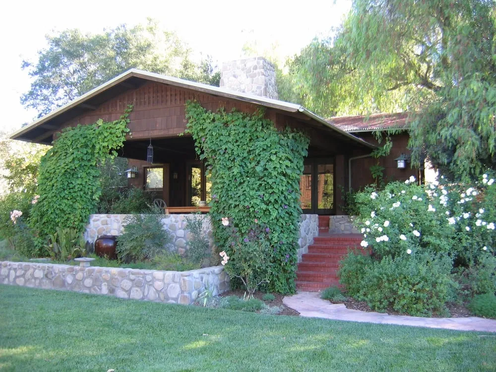 Professional yard maintenance in Ojai, CA - Daley Landscape