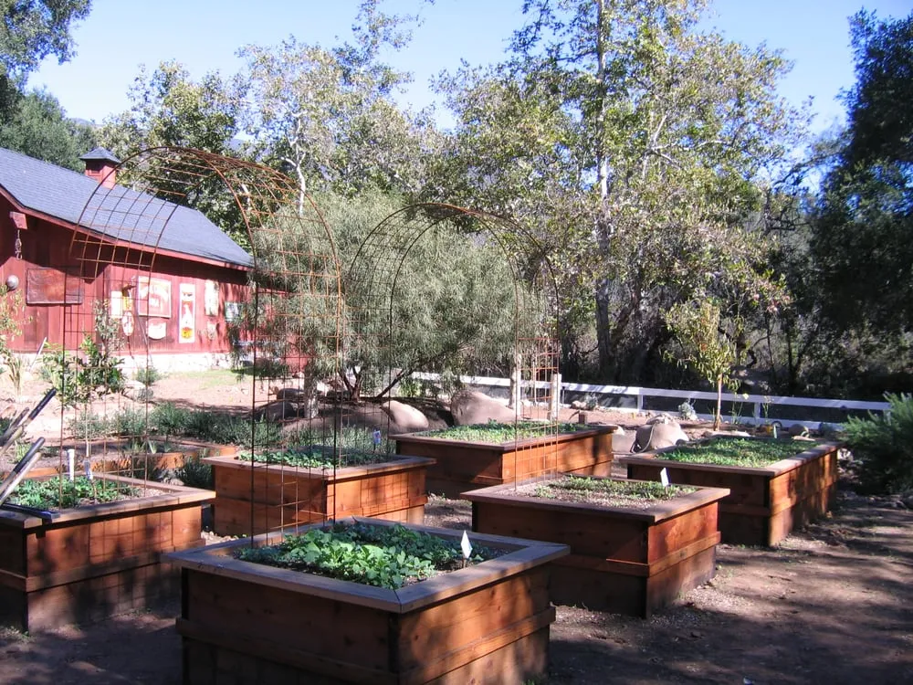 Affordable yard maintenance in Ojai, CA by Daley Landscape