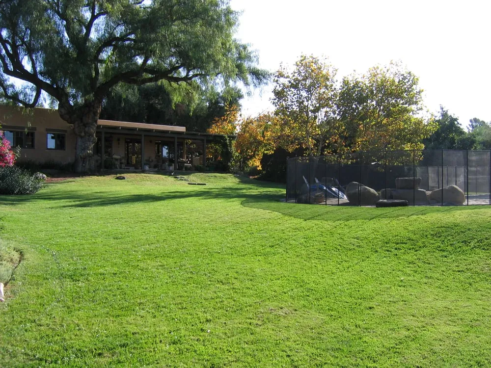 Top-rated lawn mowing service in Ojai, CA by Daley Landscape
