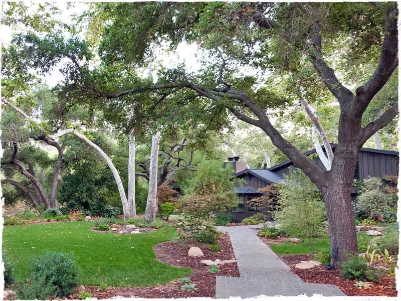 Custom residential landscaping near you in Ojai, CA by Daley Landscape