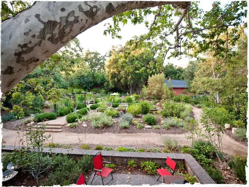 Expert residential landscaping near you across Ojai, CA - Daley Landscape