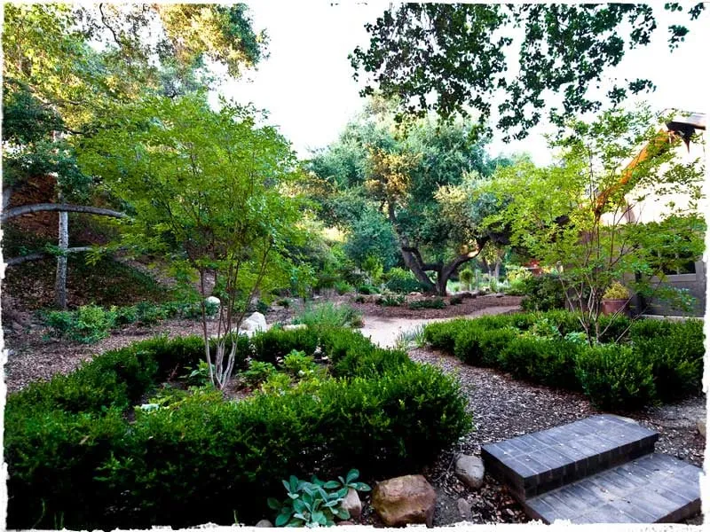 Professional garden landscaping with custom design in Ojai, CA by Daley Landscape