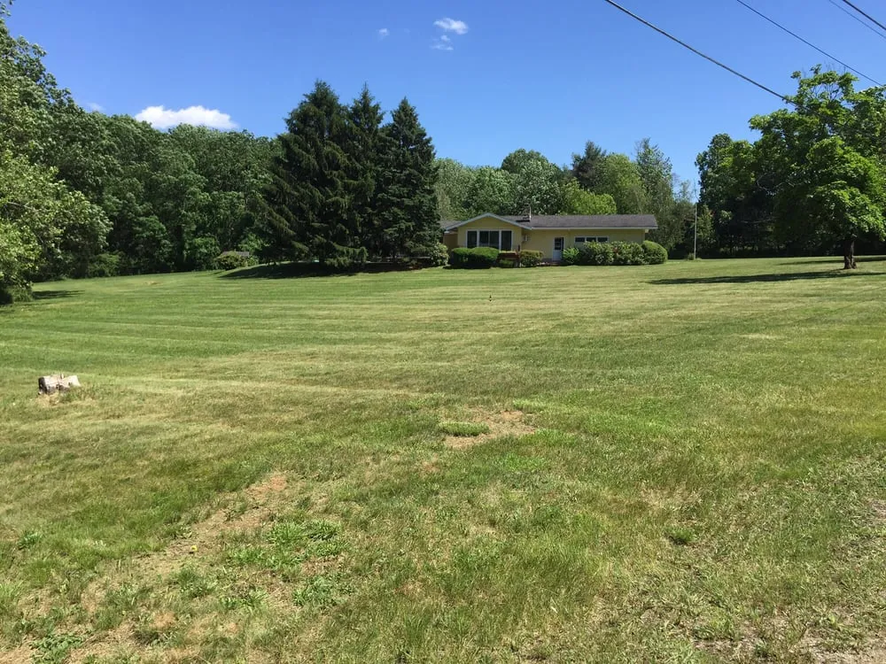 Affordable yard maintenance experts serving Morristown, NJ - Daley Landscaping