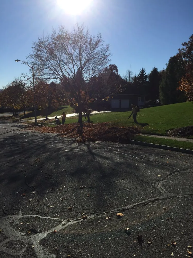 Trusted yard cleanup service experts serving Morristown, NJ - Daley Landscaping