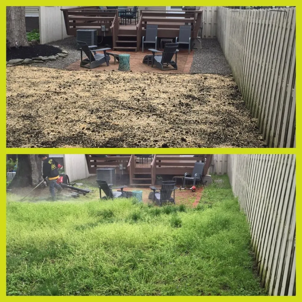 Affordable yard maintenance in Morristown, NJ - Daley Landscaping