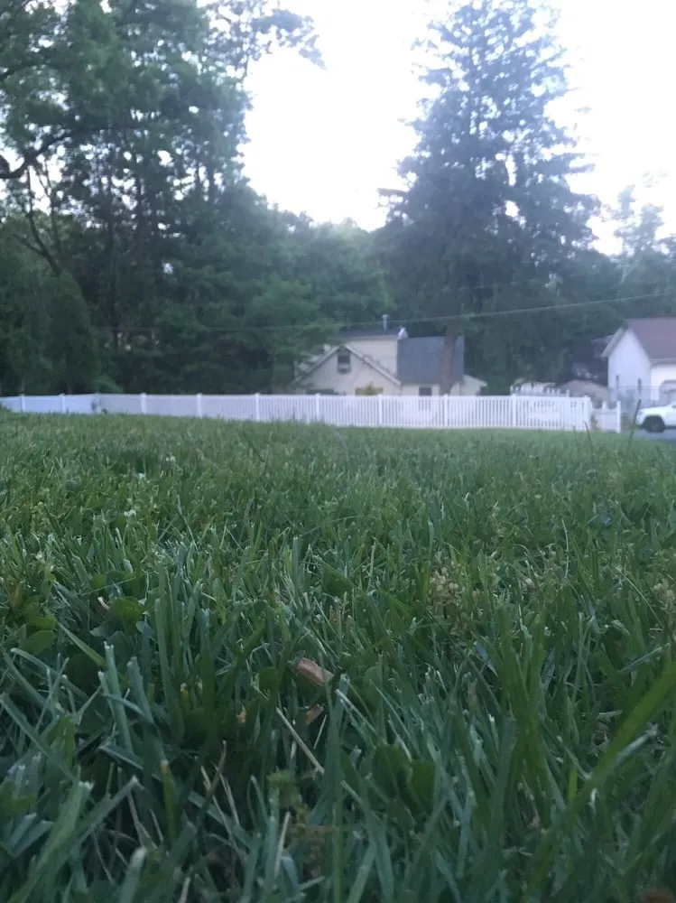 Affordable yard maintenance for beautiful yards in Morristown, NJ by Daley Landscaping