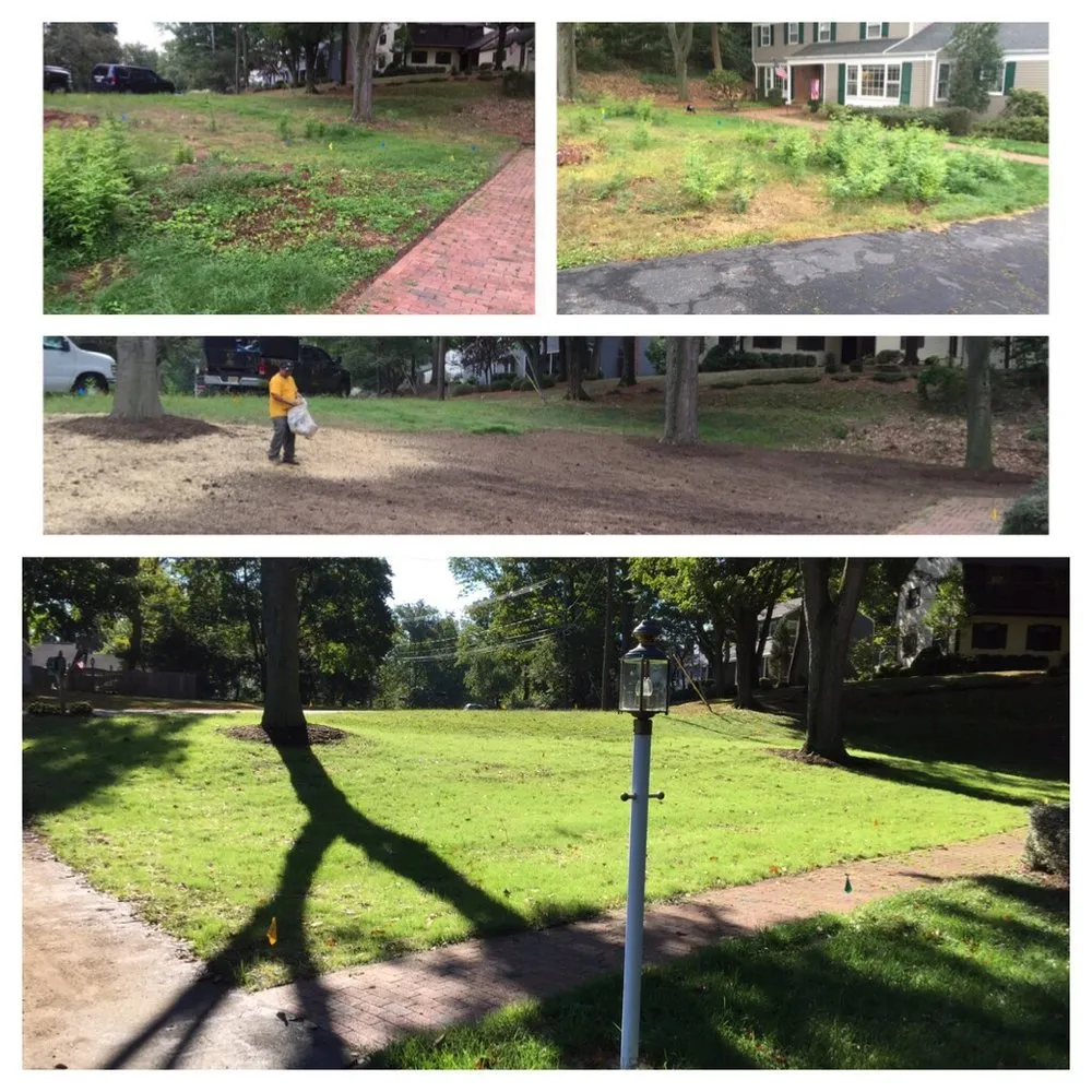 Affordable landscaping services in Morristown, NJ by Daley Landscaping