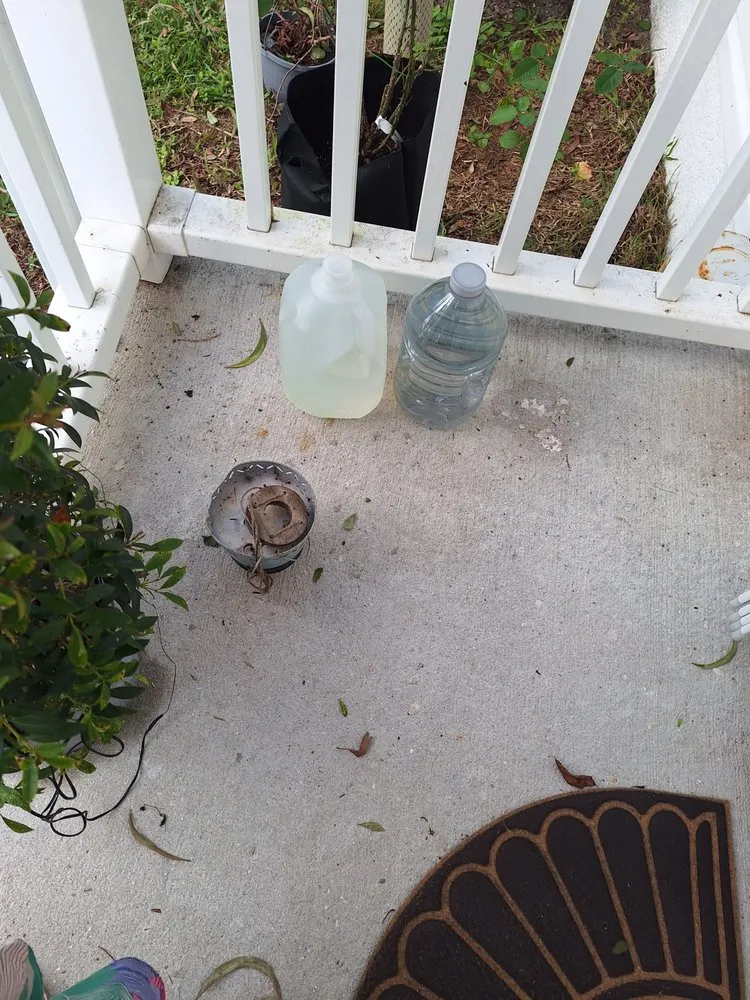 Trusted landscape installation for outdoor upgrades across Naples, FL - Daley Lawn Care