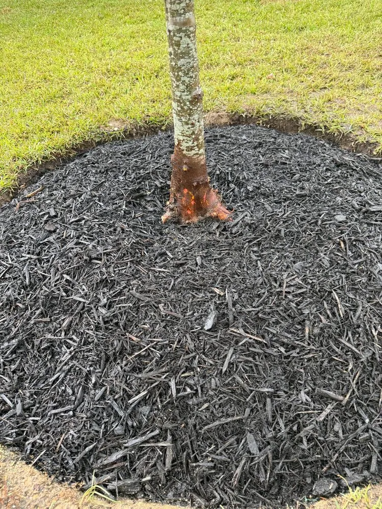 Top-rated lawn care service for residential properties in Weddington, NC by Daley Outdoor Services