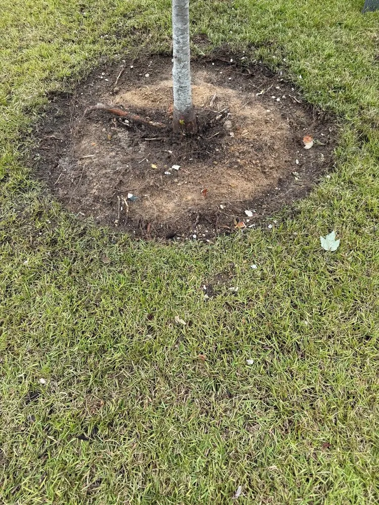 Reliable outdoor landscaping in Weddington, NC by Daley Outdoor Services