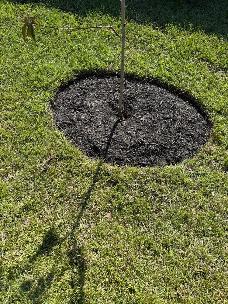 Custom landscape design for homes in Weddington, NC by Daley Outdoor Services