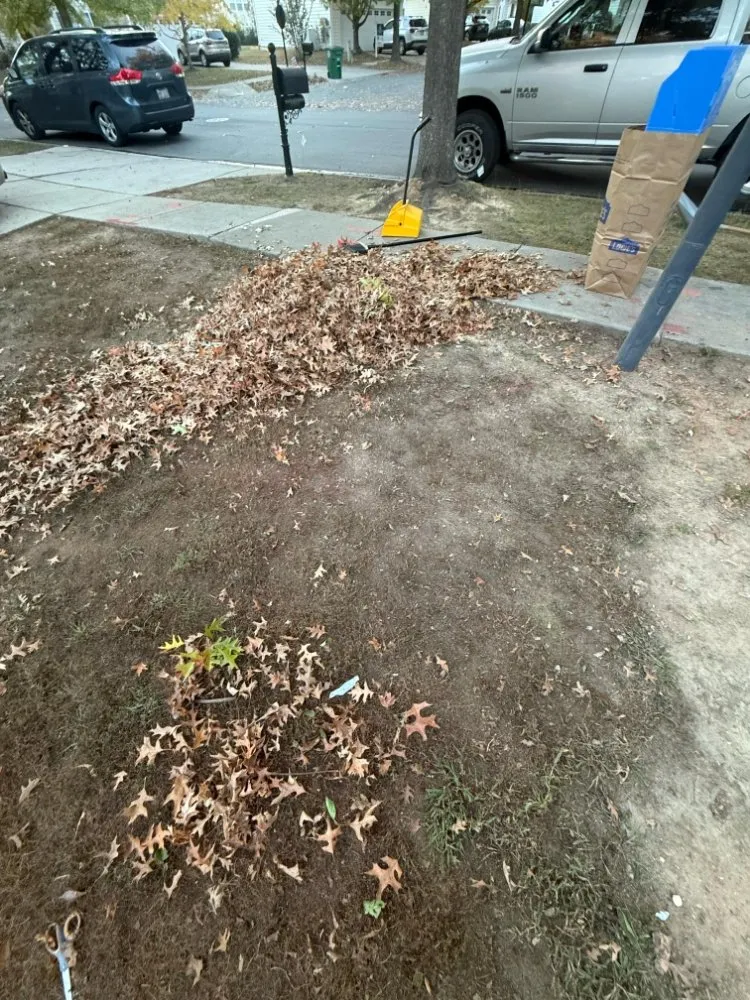 Top-rated landscape installation experts serving Weddington, NC - Daley Outdoor Services