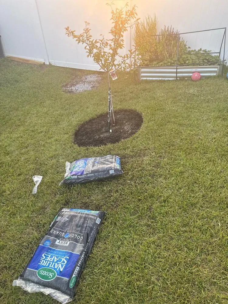 Reliable outdoor landscaping for beautiful yards across Weddington, NC - Daley Outdoor Services