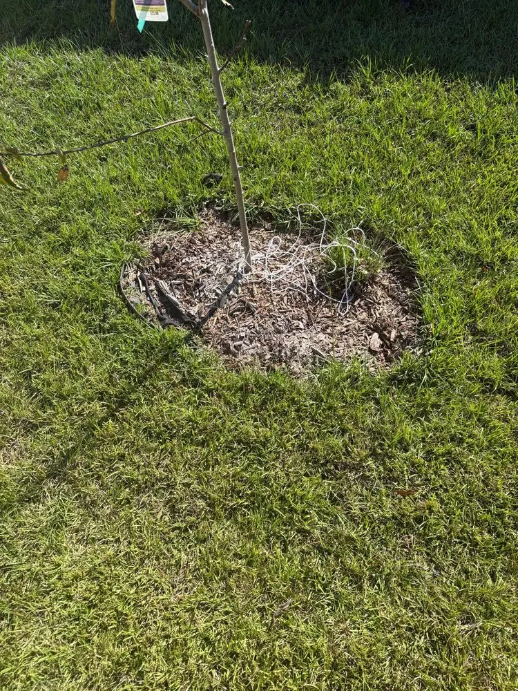 Expert lawn mowing service for residential properties in Weddington, NC by Daley Outdoor Services