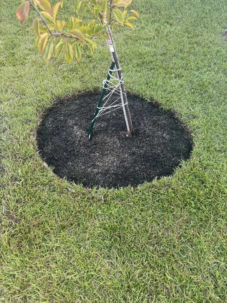 Expert lawn care service in Weddington, NC - Daley Outdoor Services