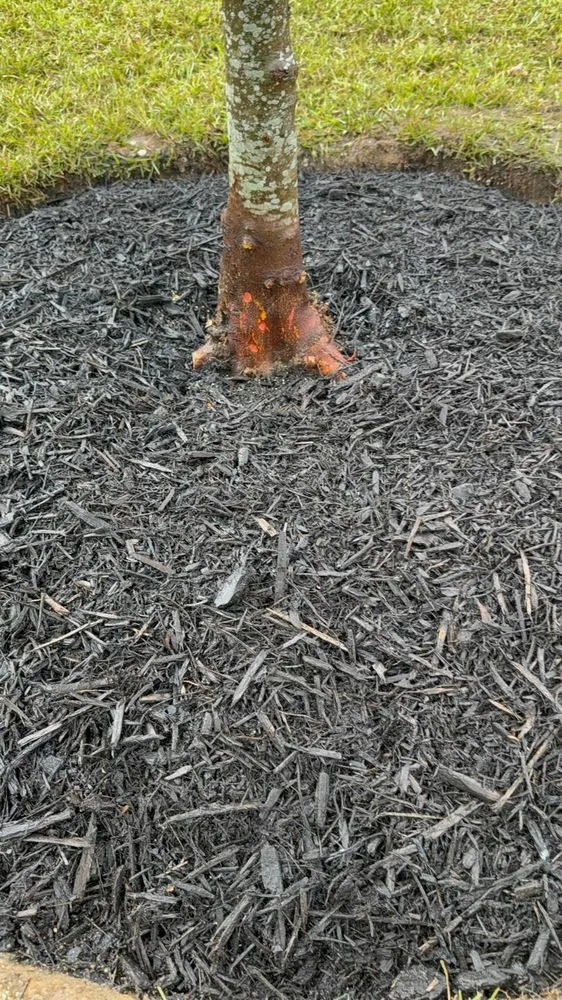 Reliable yard maintenance near you in Weddington, NC by Daley Outdoor Services