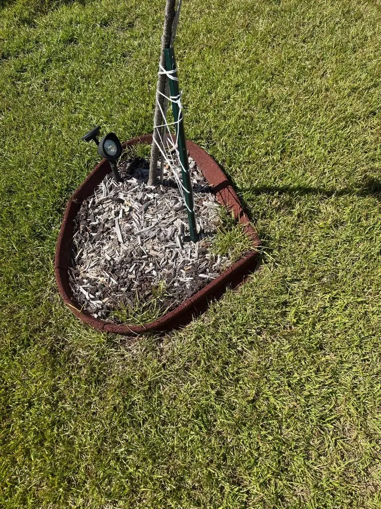 Top-rated landscape design in Weddington, NC by Daley Outdoor Services