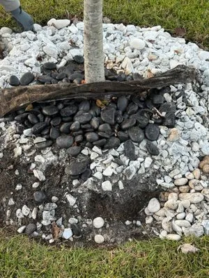 Daley Outdoor Services