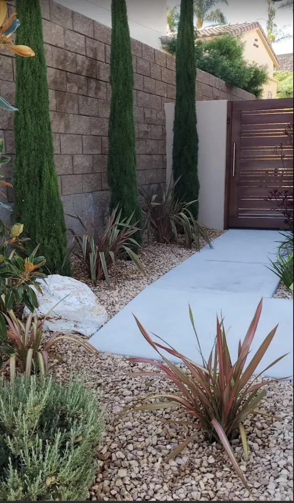 Affordable yard cleanup service in Oceanside, CA - Dalia’s Concrete Services