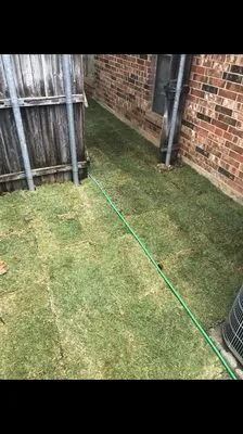 DaLite LawnCare And landscaping Logo