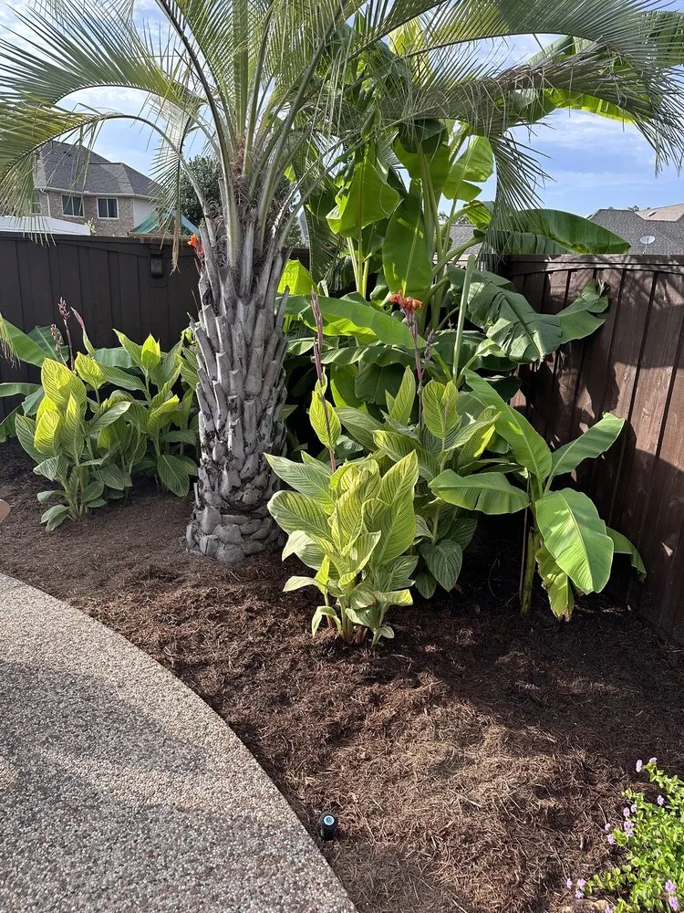 Reliable landscape installation for year-round maintenance across Dallas, TX - Dallas Cove Landscaping