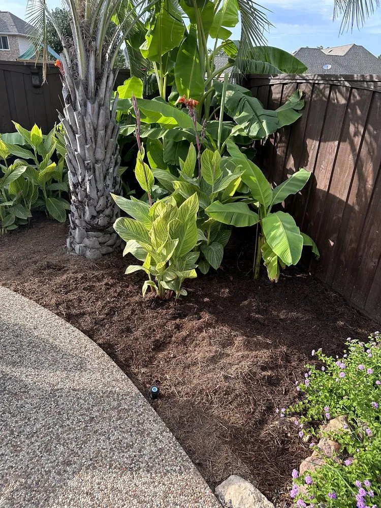 Professional landscape design experts serving Dallas, TX - Dallas Cove Landscaping