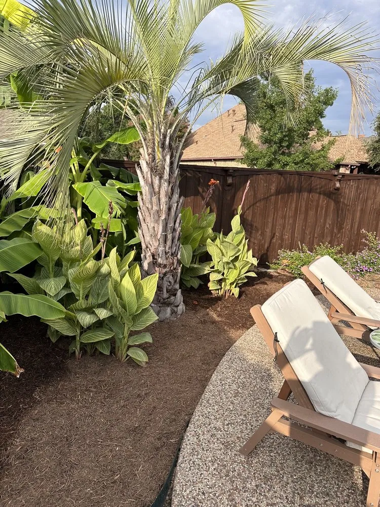 Trusted landscaping services near you in Dallas, TX by Dallas Cove Landscaping