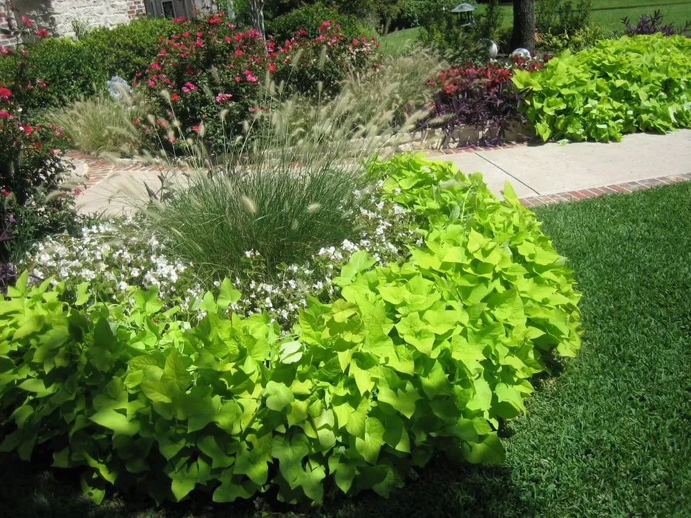 Custom landscape installation for beautiful yards in Garland, TX by Dallas Curb Appeal Inc.