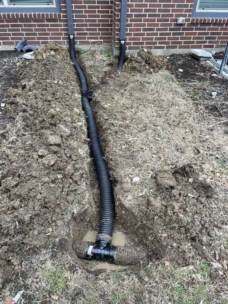 Trusted yard cleanup service in Garland, TX - Dallas Drainage Pros