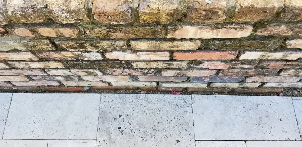 Expert outdoor landscaping in Dallas, TX - Dallas Drainage Solutions