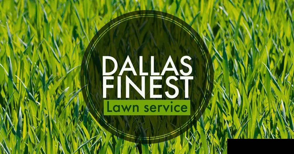 Expert garden landscaping experts serving Dallas, TX - Dallas Finest Lawn Service