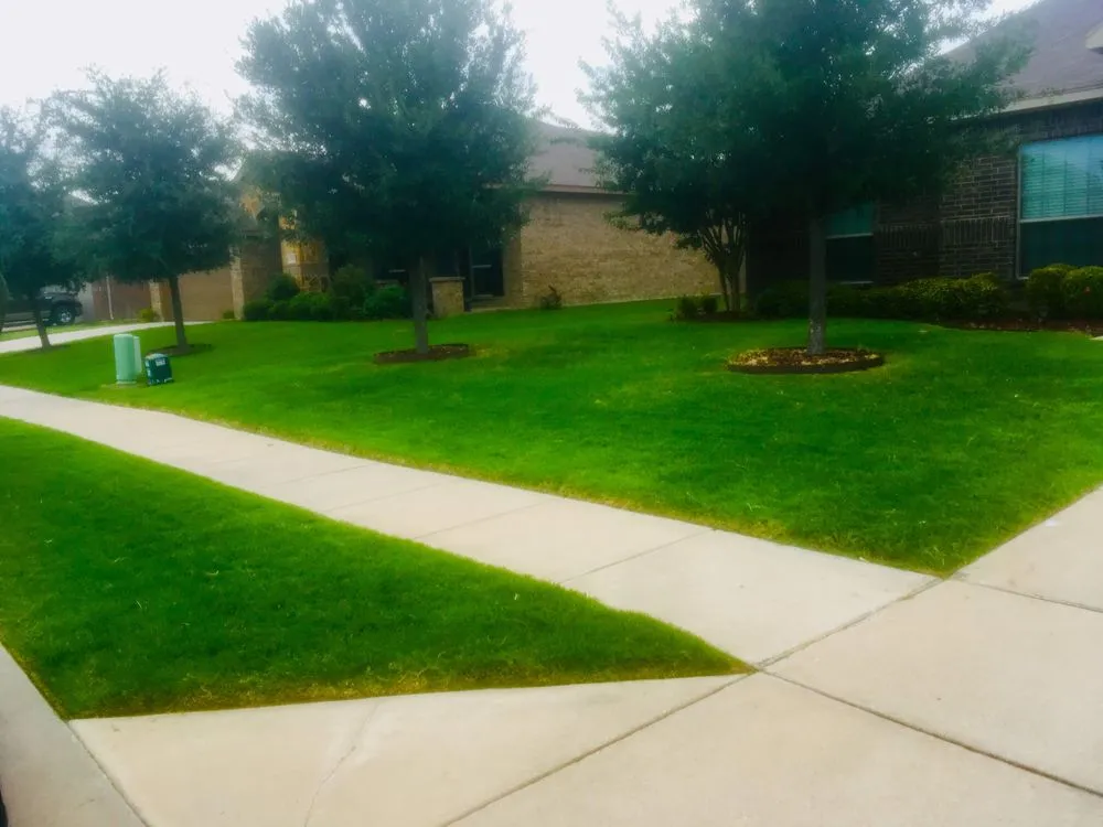 Affordable yard maintenance near you across Dallas, TX - Dallas Finest Lawn Service