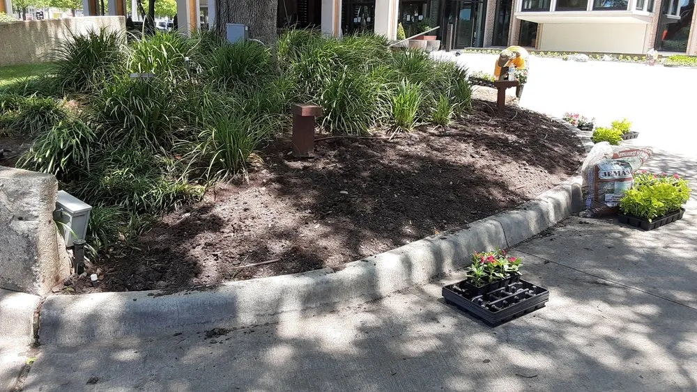 Custom lawn mowing service experts serving Dallas, TX - Dallas Finest Lawn Service