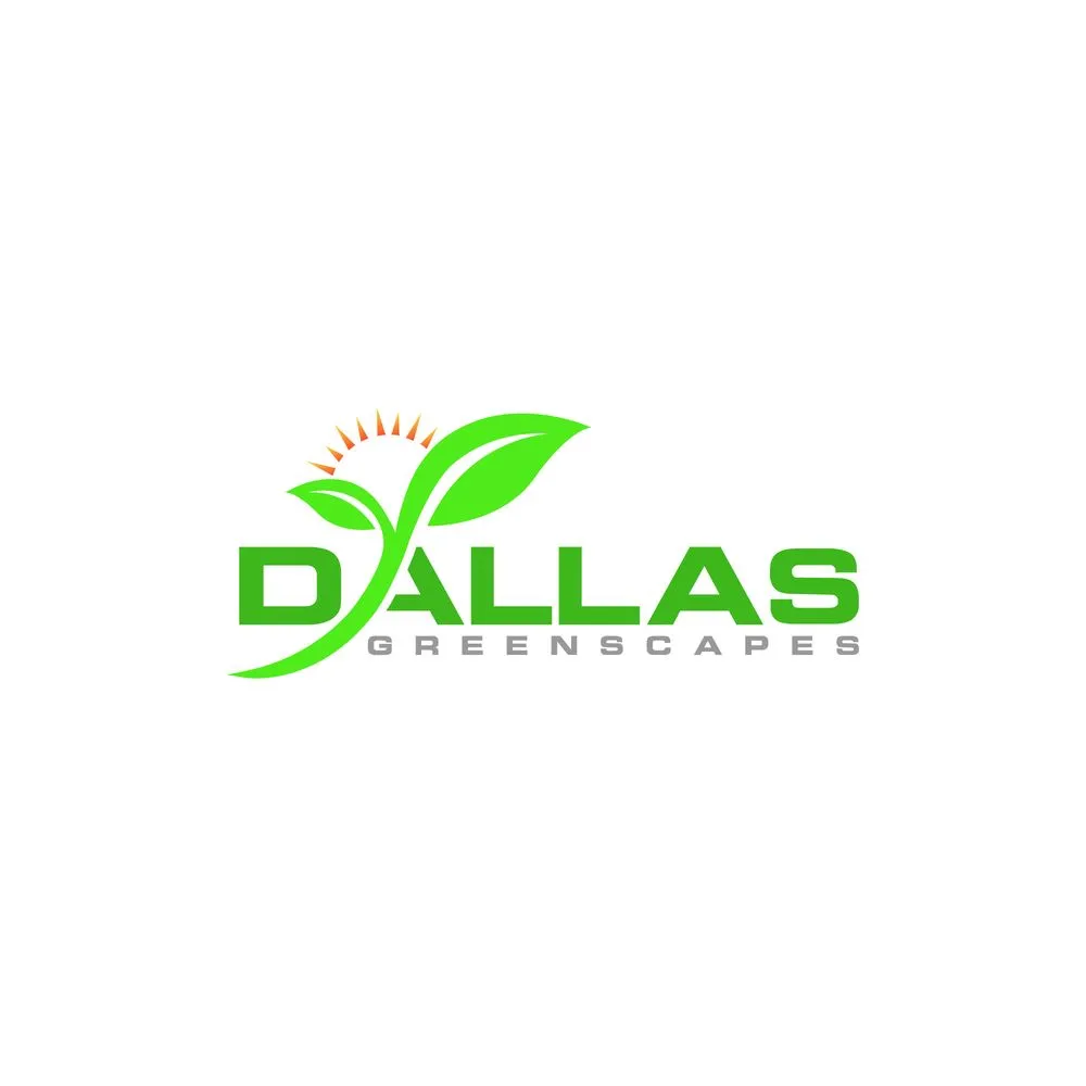 Trusted yard cleanup service for outdoor upgrades in Dallas, TX by Dallas Greenscapes